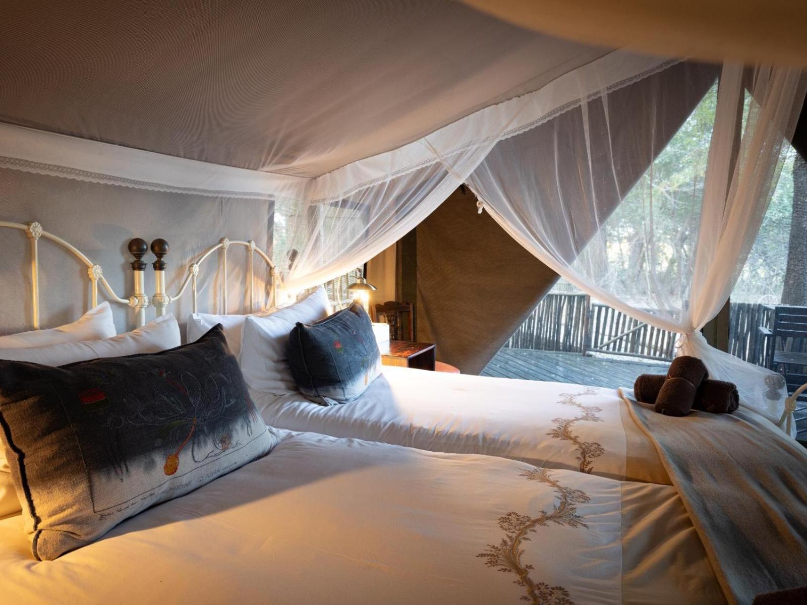 Kwambili Game Lodge Thornybush Game Reserve Room photo