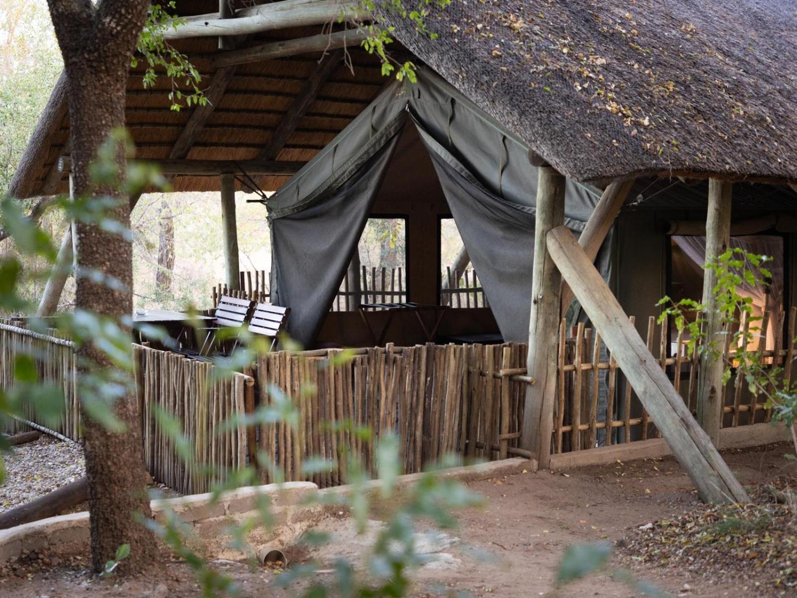 Kwambili Game Lodge Thornybush Game Reserve Room photo