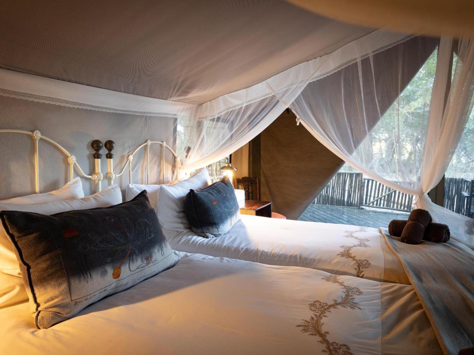 Kwambili Game Lodge Thornybush Game Reserve Room photo