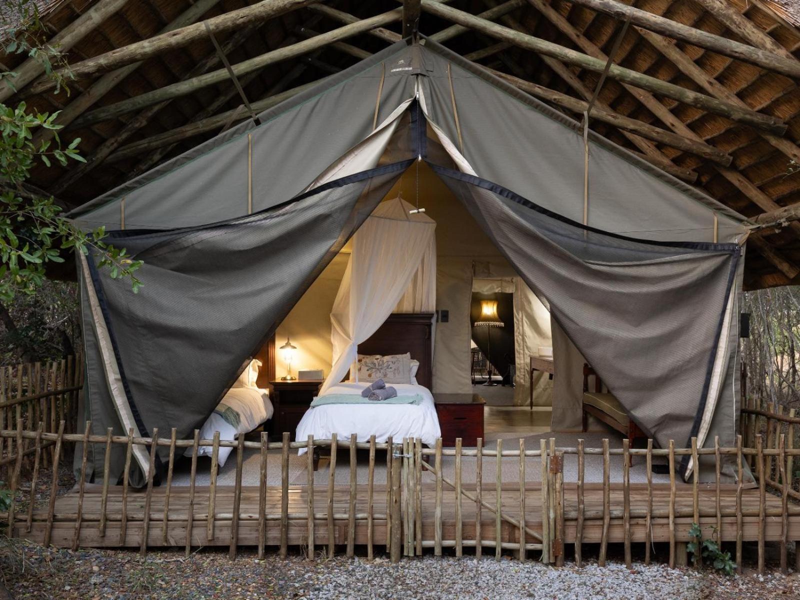 Kwambili Game Lodge Thornybush Game Reserve Exterior photo