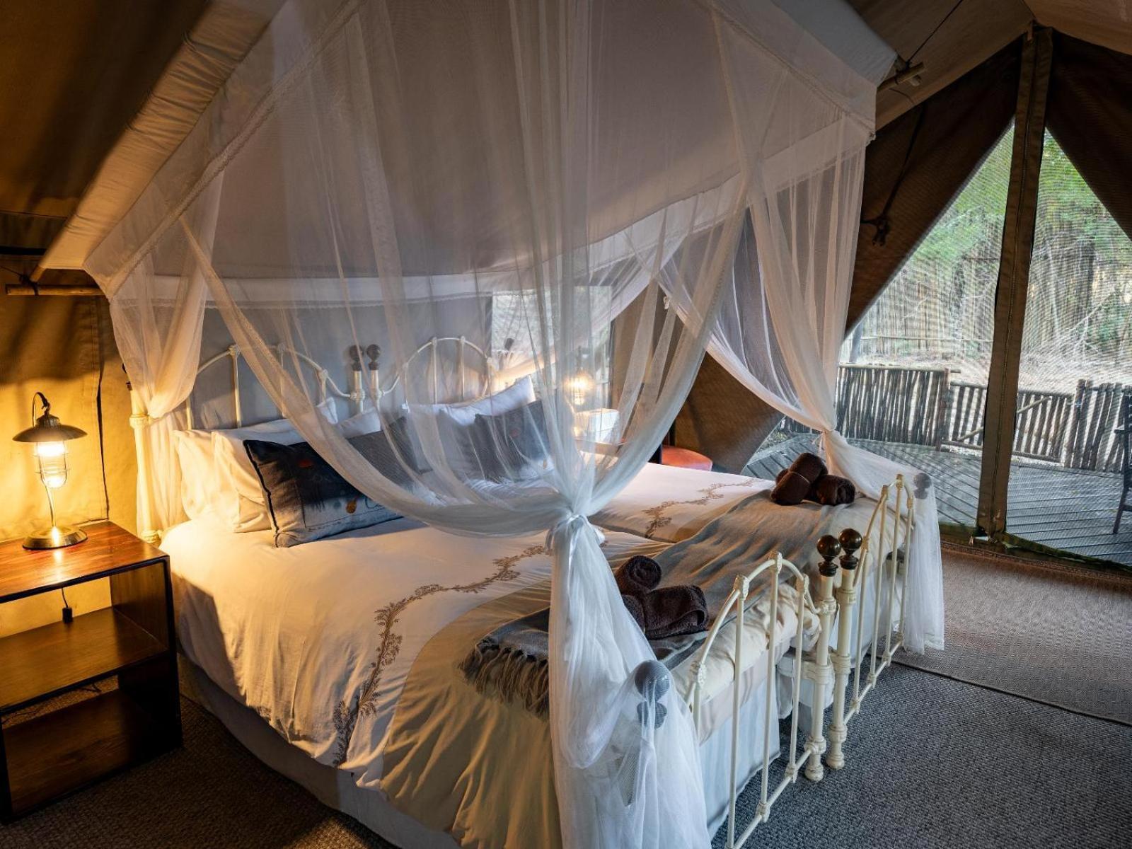 Kwambili Game Lodge Thornybush Game Reserve Room photo