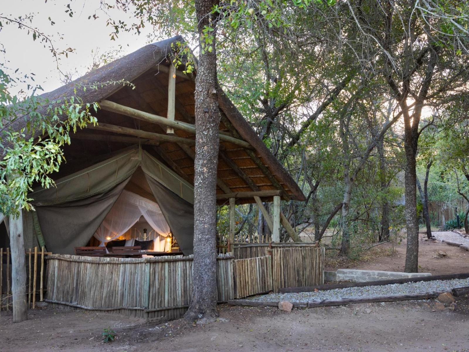Kwambili Game Lodge Thornybush Game Reserve Room photo
