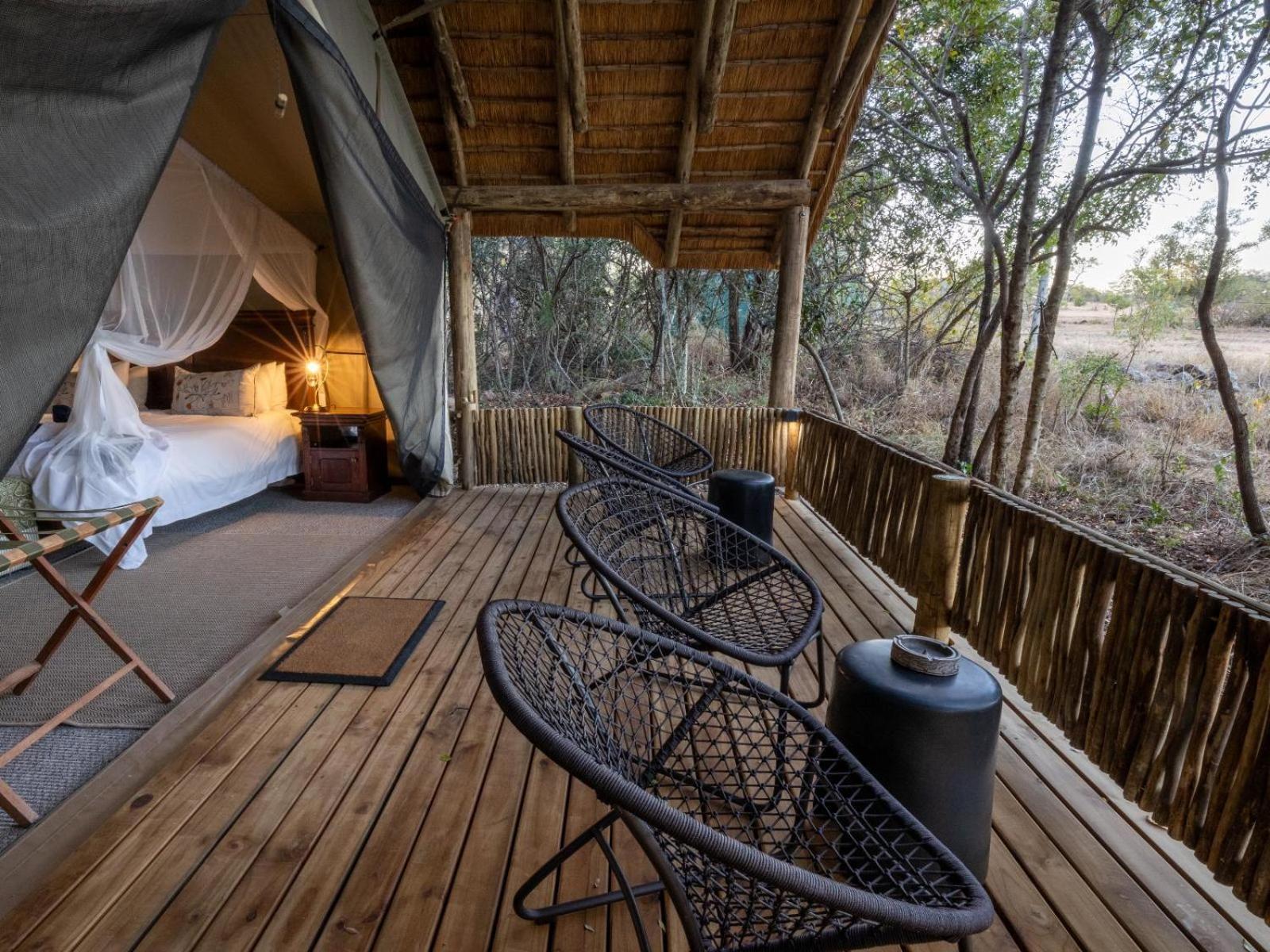 Kwambili Game Lodge Thornybush Game Reserve Room photo
